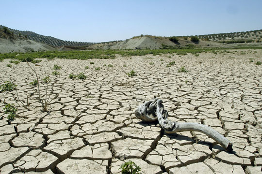 ASAJA, COAG y Cooperativas piden al Ministerio de Agricultura la convocatoria urgente de la Mesa de la Sequía